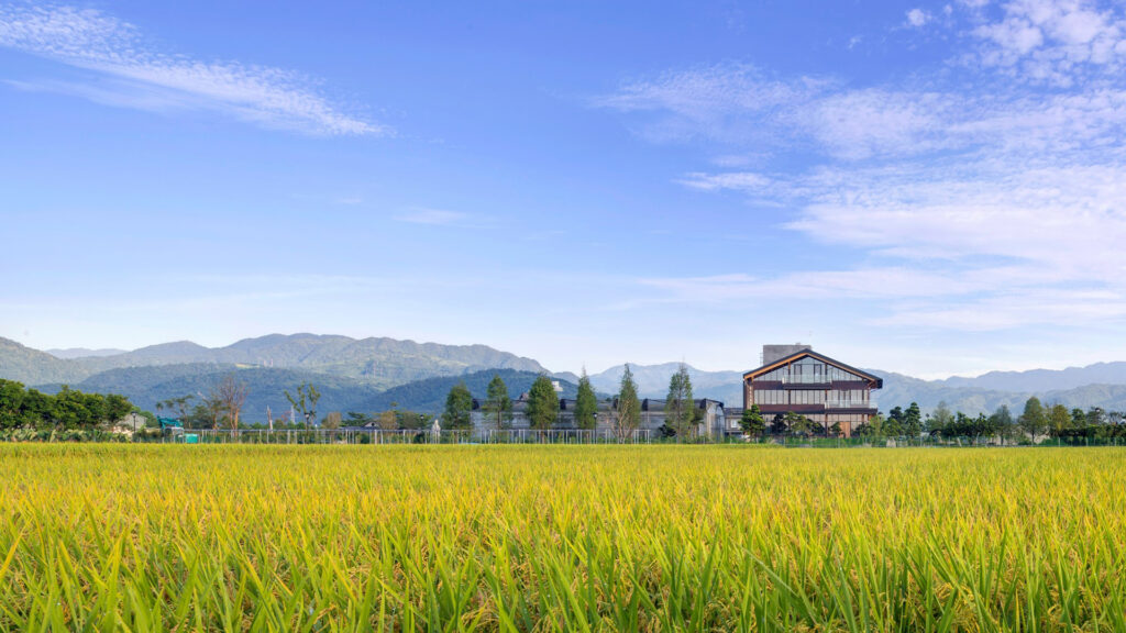 JaoDaoTian Organic Farm